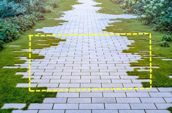  卡尔斯鲁厄启用全新草皮技术，雨季积水问题获解决  